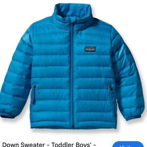 Patagonia toddler down sweater 4T